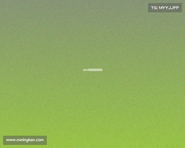 wes电子竞技锦标赛官网