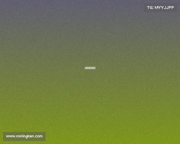 甘肃电子总公司